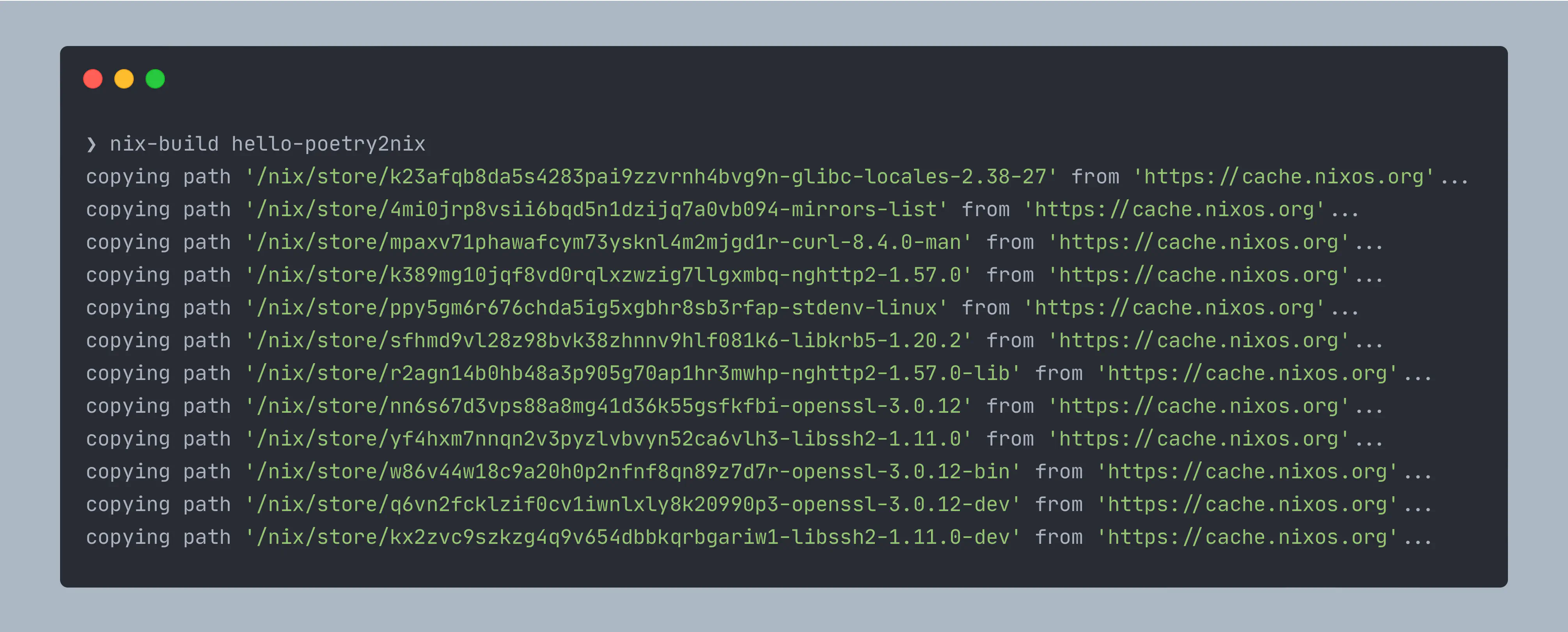 Output of Nix build on sample poetry2nix project.