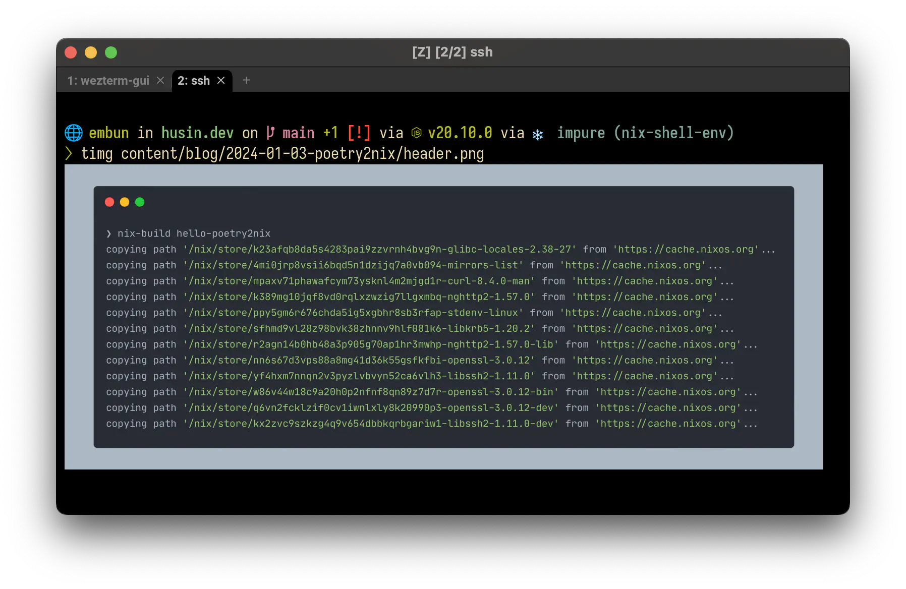Terminal window showing image preview.